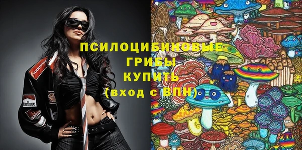 гидропоника Бородино