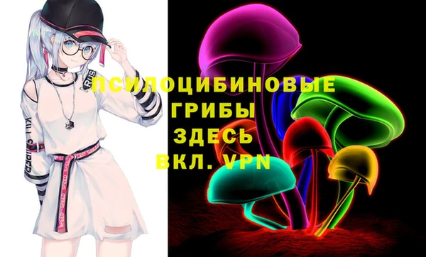 мдпв Бронницы