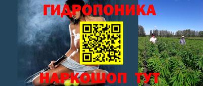 дмт Бийск