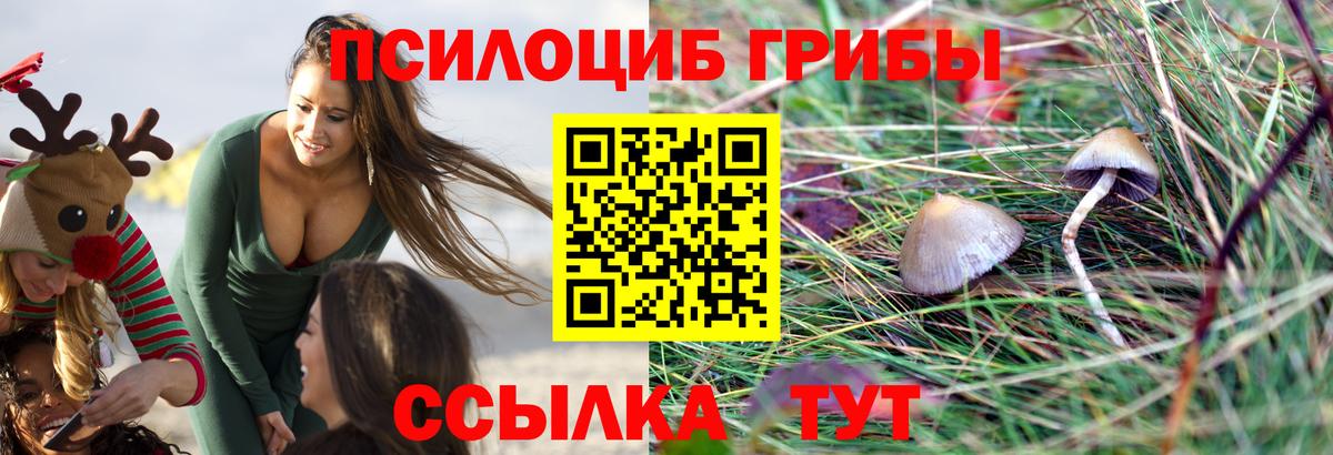 Псилоцибиновые грибы мухоморы Вязники